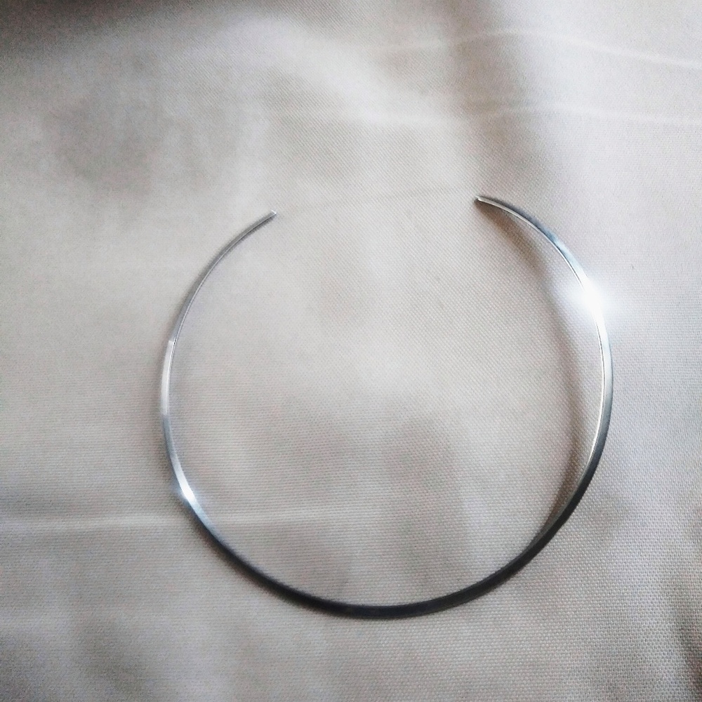 Pretty silver collar for either sex